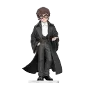 Harry Potter at the Ball